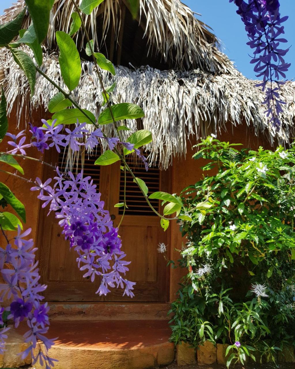 Solazul Panzió Las Galeras Kültér fotó